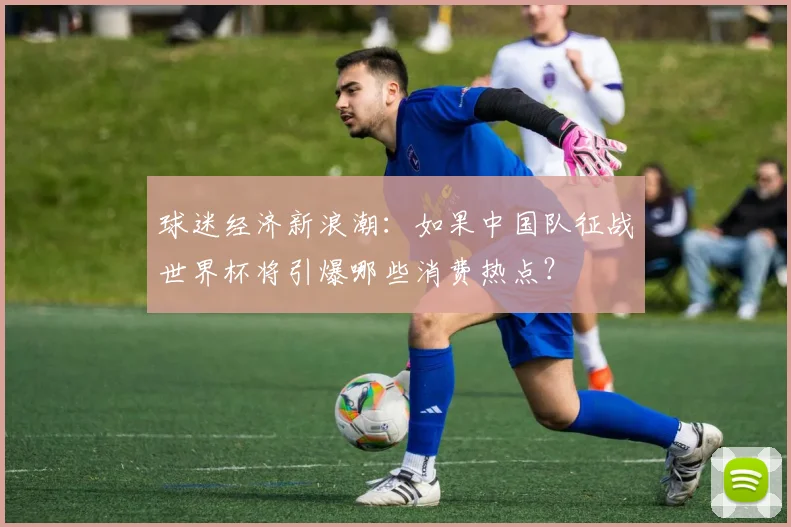 球迷经济新浪潮：如果中国队征战世界杯将引爆哪些消费热点？