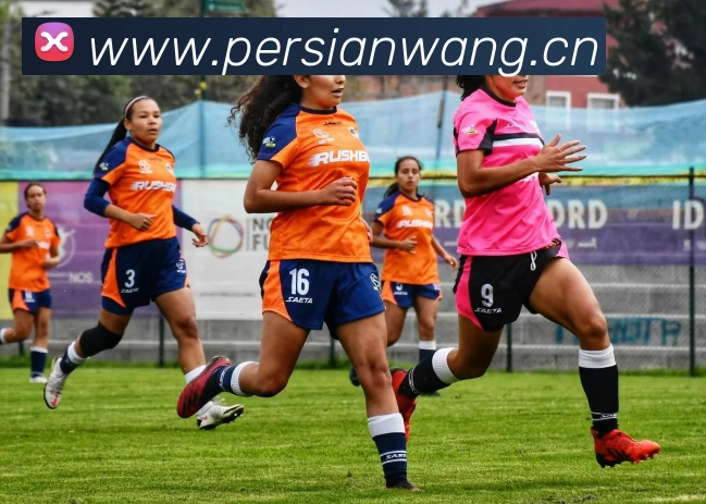 爱游戏体育 官网平台生态图