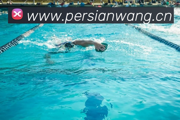 爱游戏体育 官网全站App